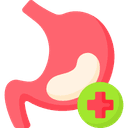 Stomach